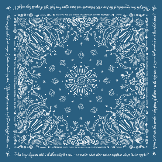 Aqua Serene ~ Ocean Devotion Bandana