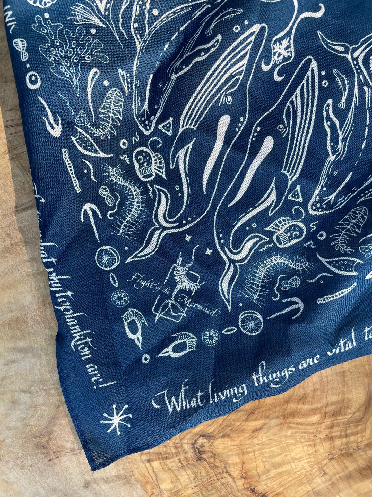 Original Ocean Devotion BeneDana ~ Stellwagen Blue