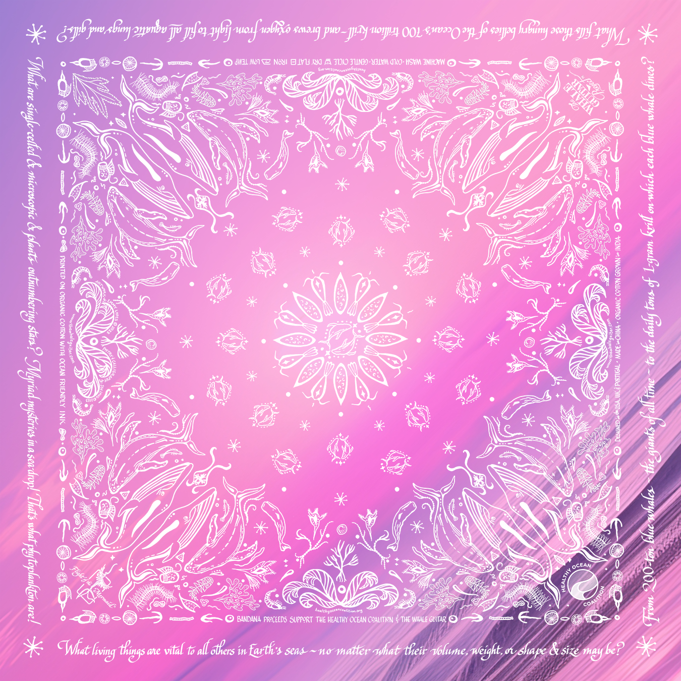 Sunset Pink ~ Ocean Devotion Bandana